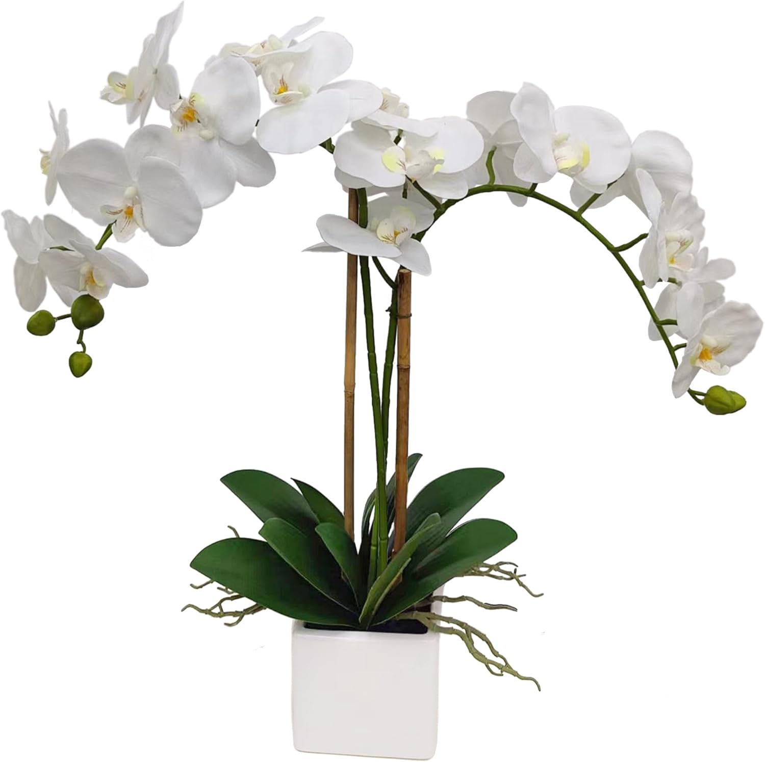 white-orchid-home-staging-decor